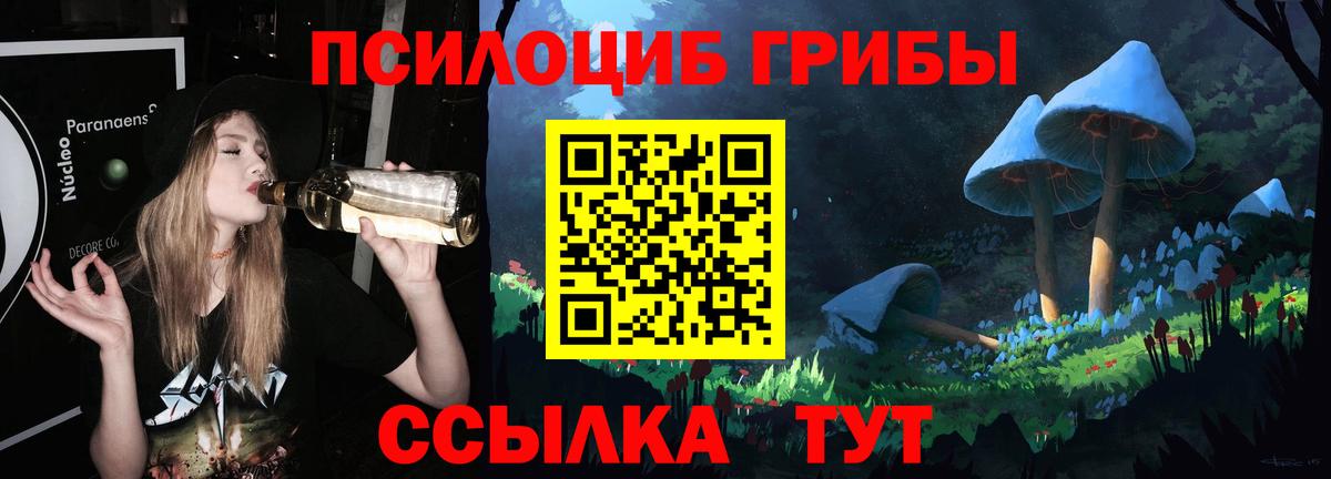 где можно купить наркотик  Псилоцибиновые грибы мицелий  Гулькевичи  Вход с VPN  Галлюциногенные грибы Magic Shrooms 